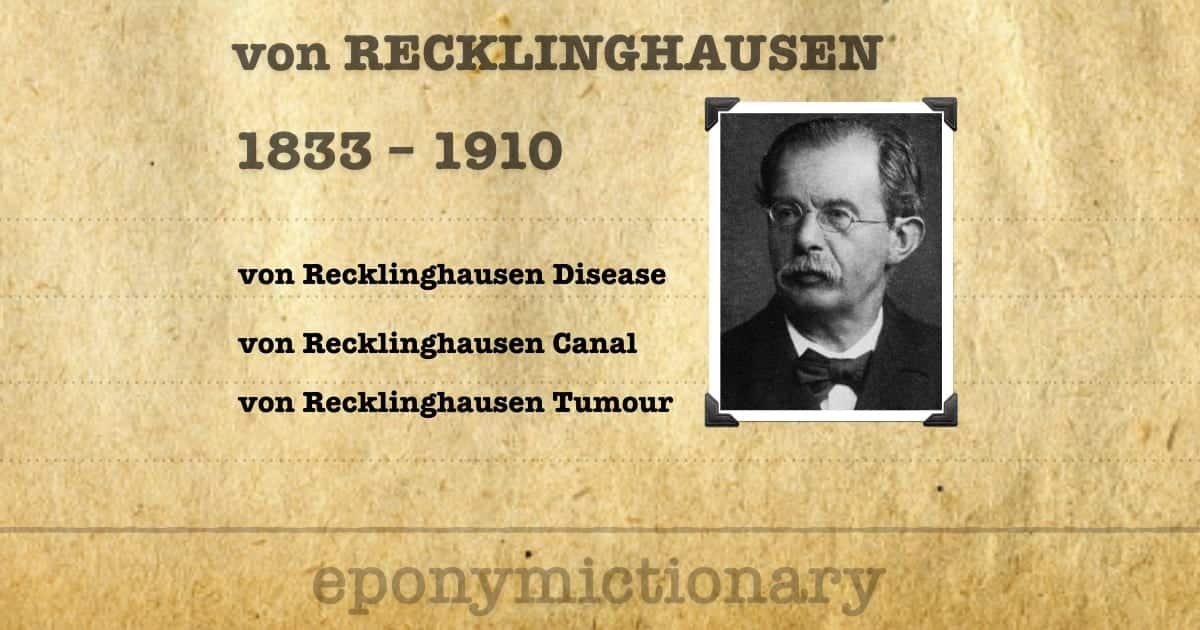 Single recklinghausen