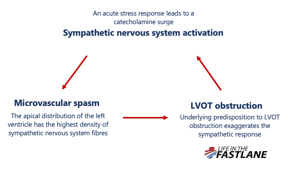 takotsubo cardiomyopathy causes