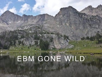 EBM Gone Wild mountain 340