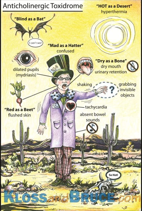 Anticholinergic Toxidrome LITFL Toxicology Flashcard Library