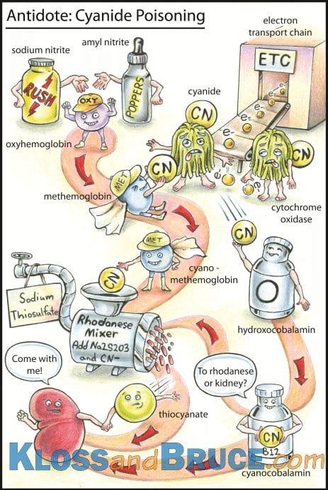 lead poisoning antidote