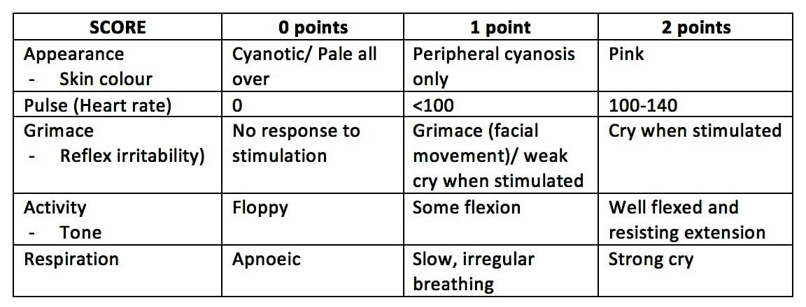 Apgar Scale Chart