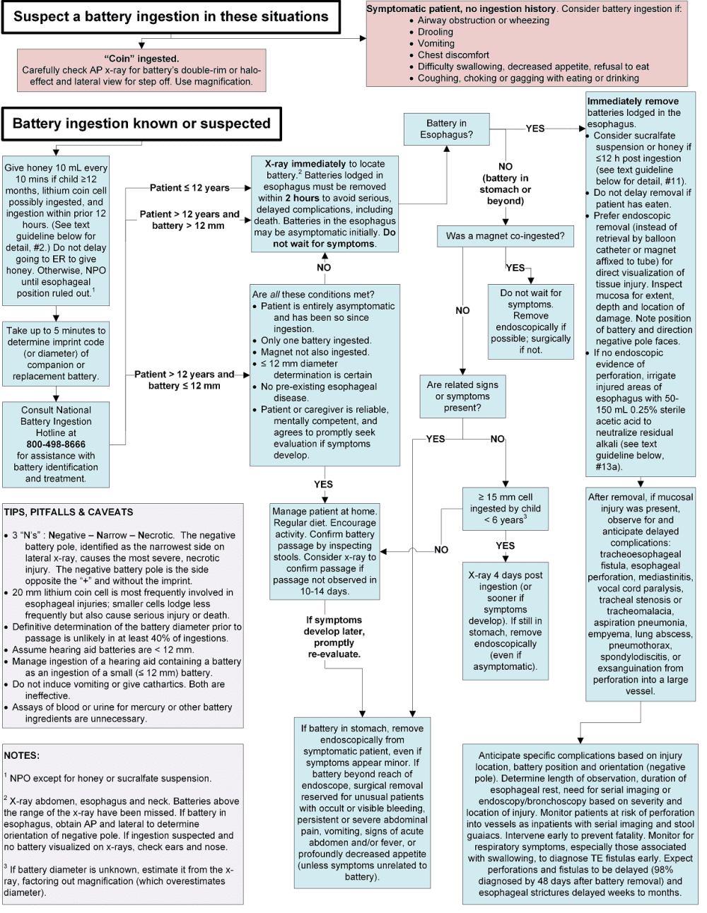 Button Battery Update • LITFL