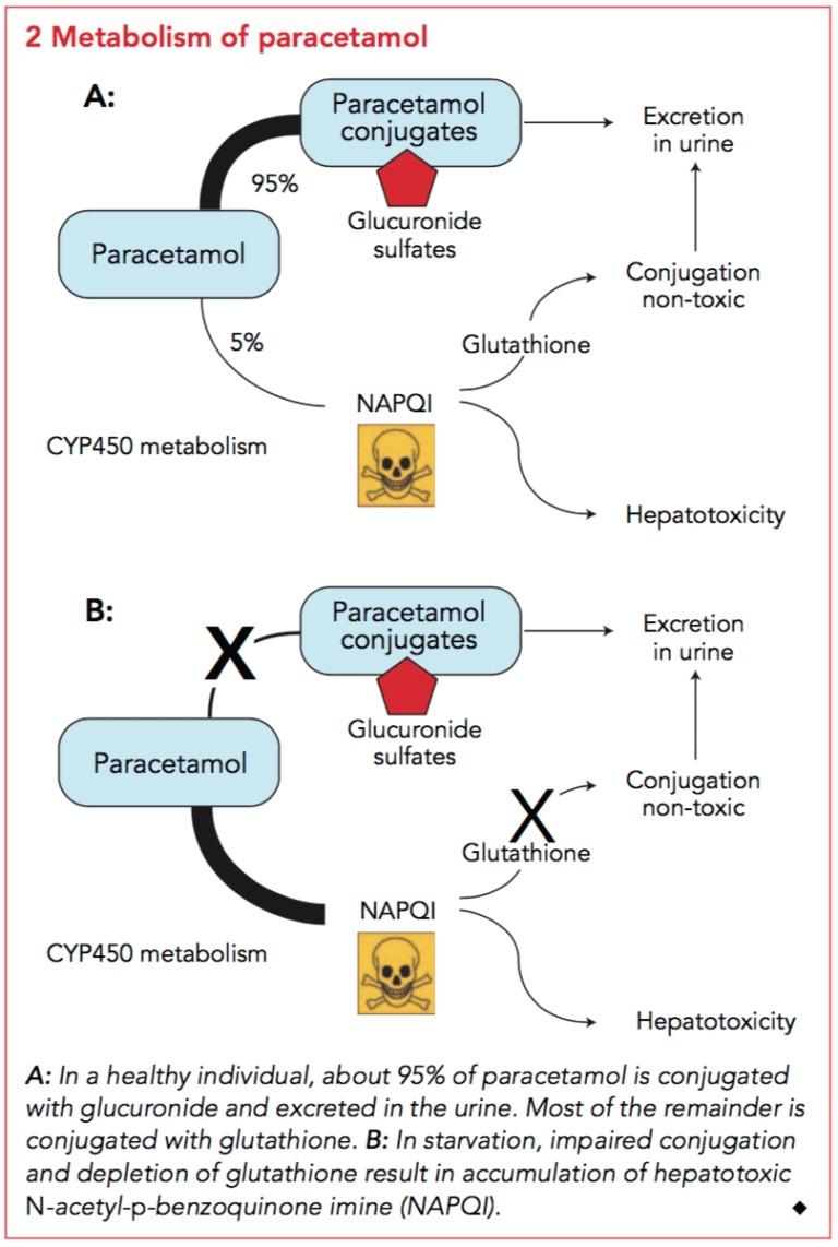 PARACETAMOL TOXICITY MECHANISM visual data 5