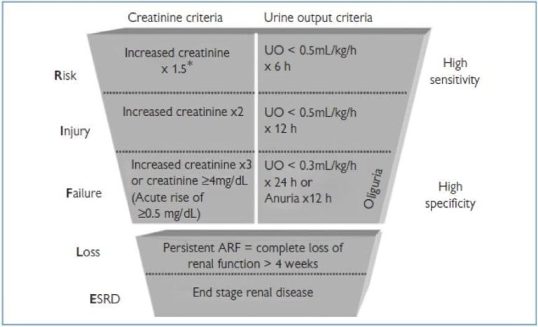 Acute Kidney Injury LITFL CCC Renal