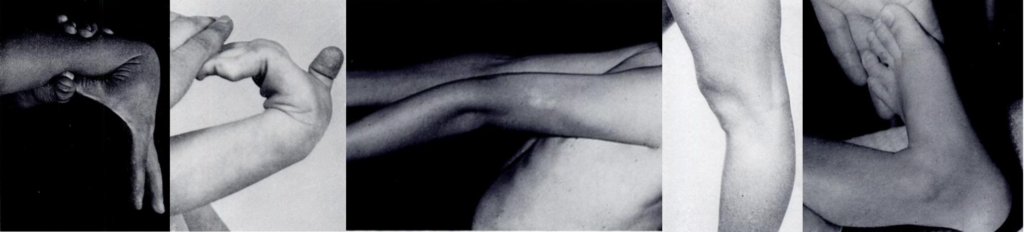 Carter and Wilkinson 1964