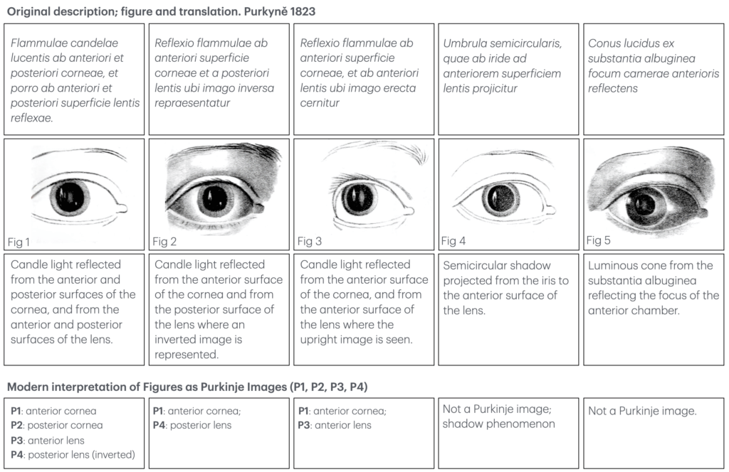 Purkyně’s Images 1823