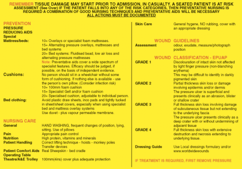 Waterlow Chart Printable