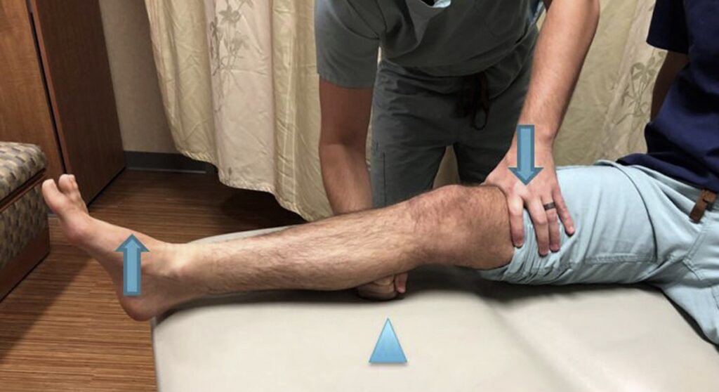 Lelli test or Lever test in ACL disruption 2019