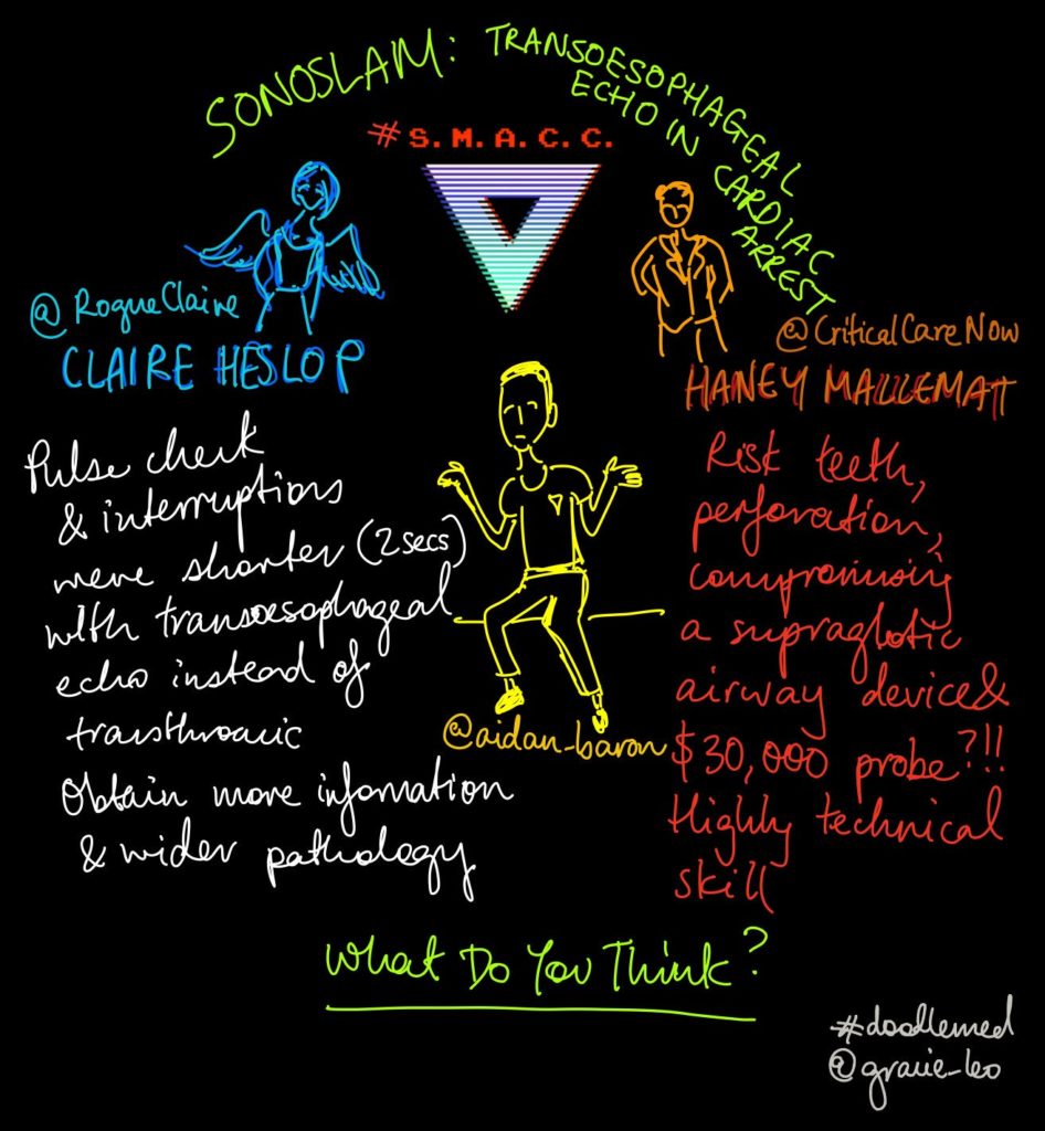 SonoSLAM UtiliTEE of Ultrasound in Cardiac Arrest