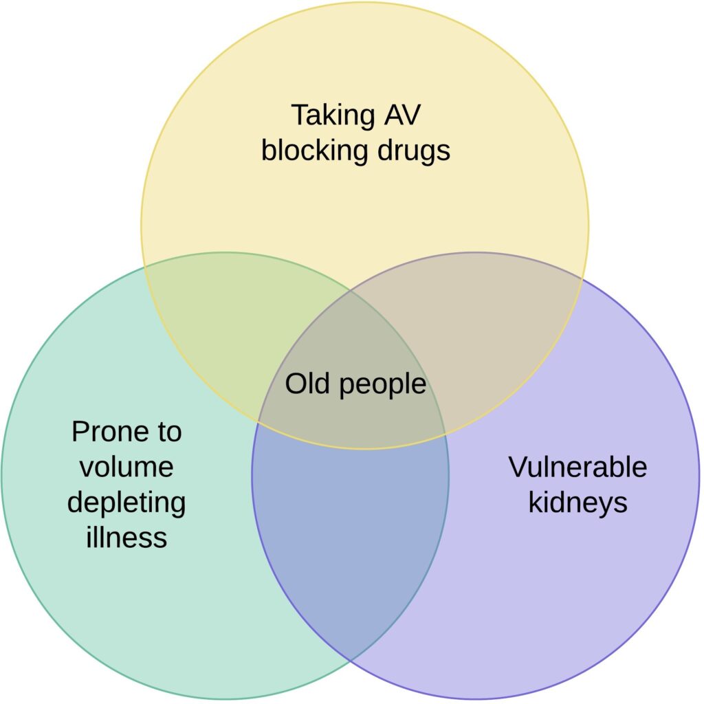 BRASH syndrome risk populations