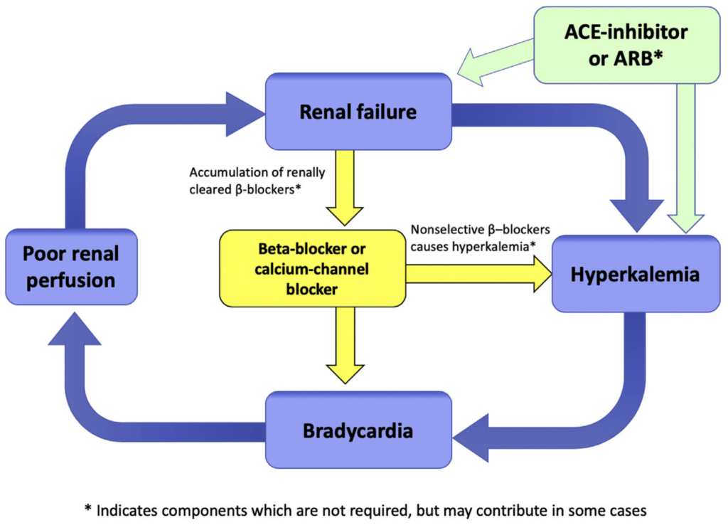 BRASH syndrome Farkas et al 2020