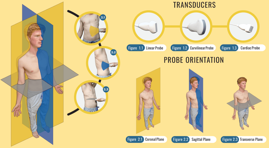 DMNB PoCUS Club transducers