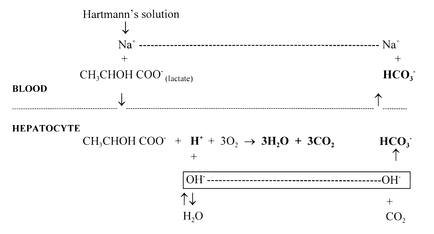 Hartmann's Solution • LITFL • CCC