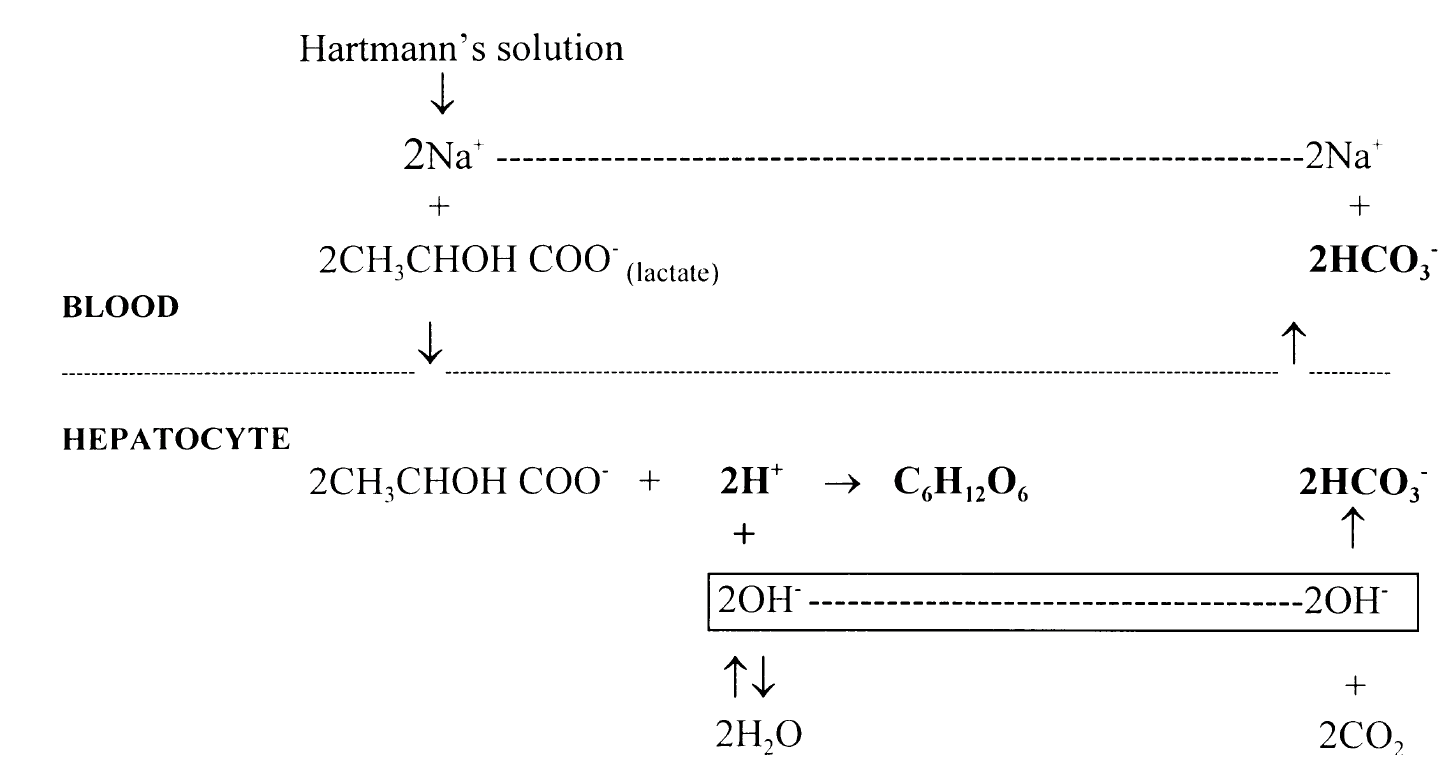 LACTATED RINGERS- sodium chloride, sodium lactate, potassium chloride, and  calcium chloride irrigant