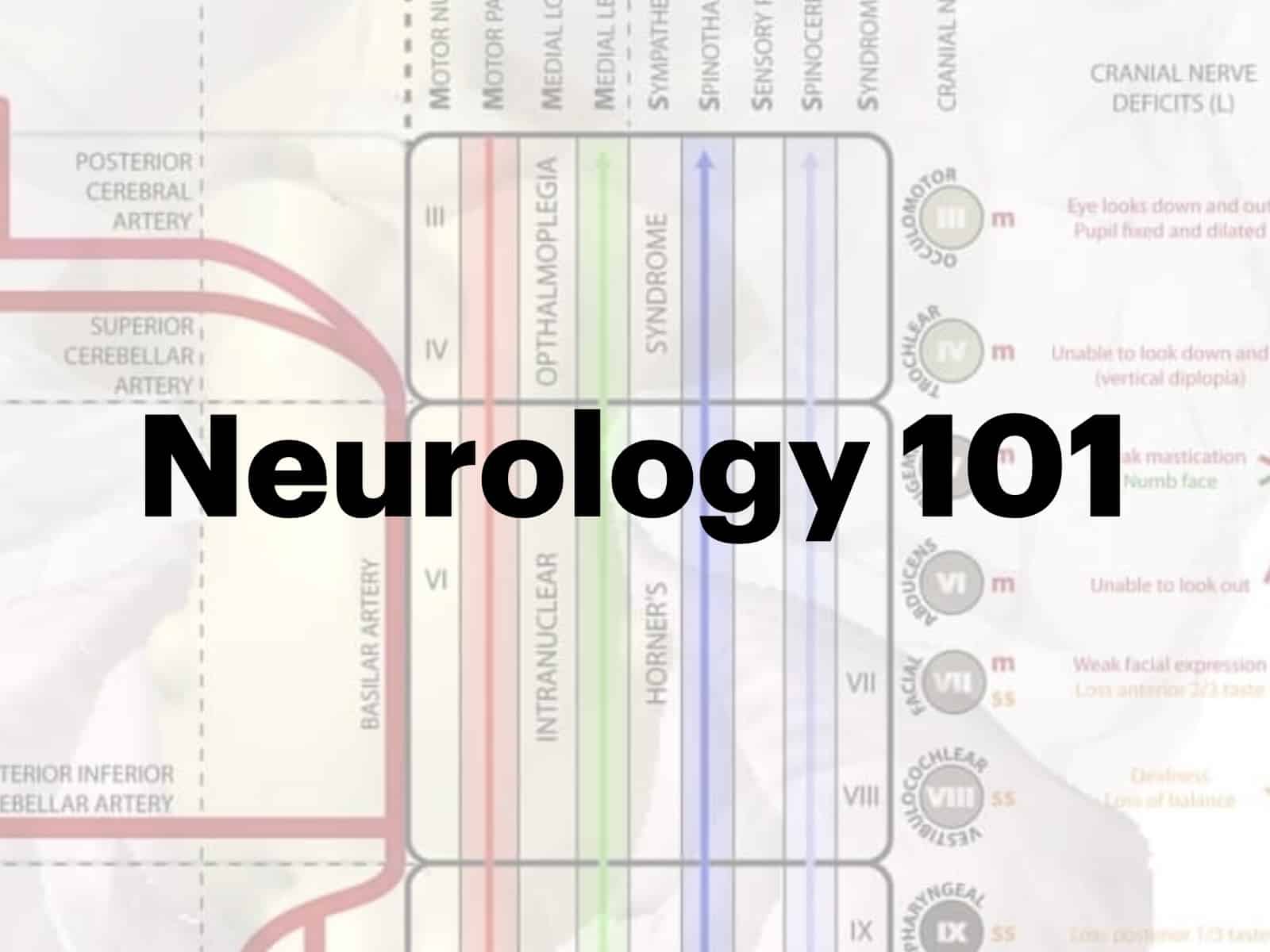 Neurology 101