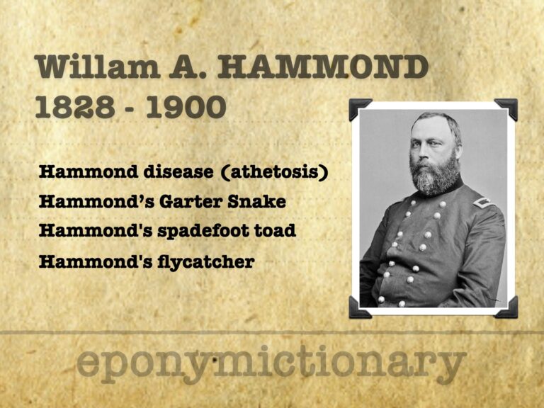 William Alexander Hammond (1828-1900) 680
