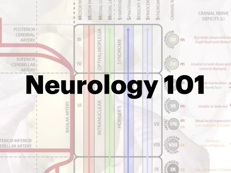 Neurology 101 680