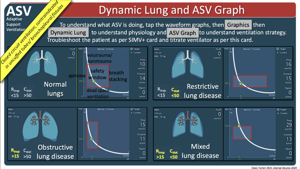 Hamilton T1 adult paed ASV graphs