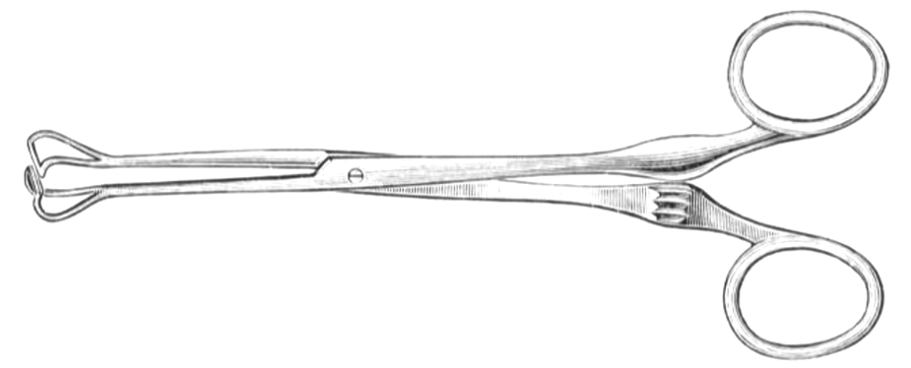 Babcock viscera forceps