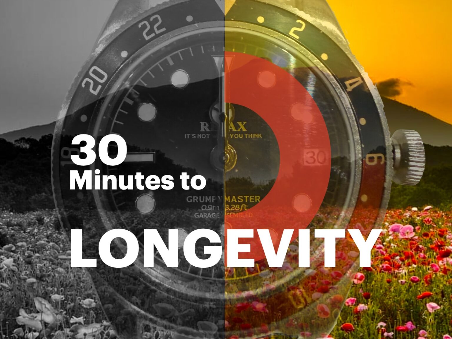 Practical Longevity Supplement Guide