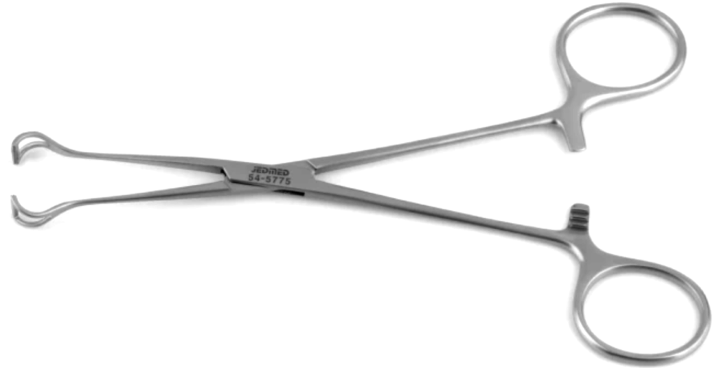 Babcock forceps