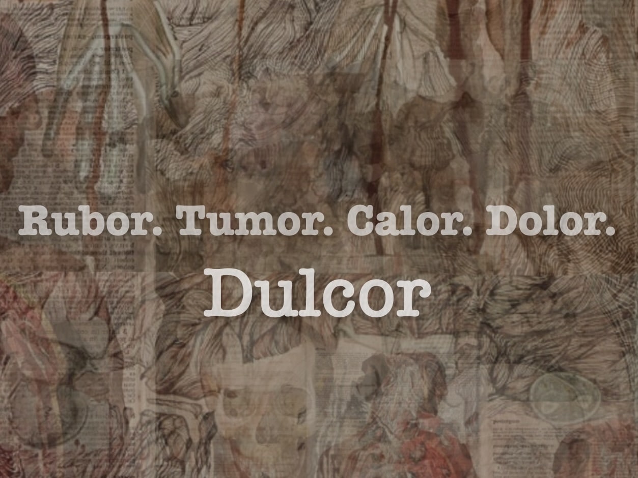 Dulcor
