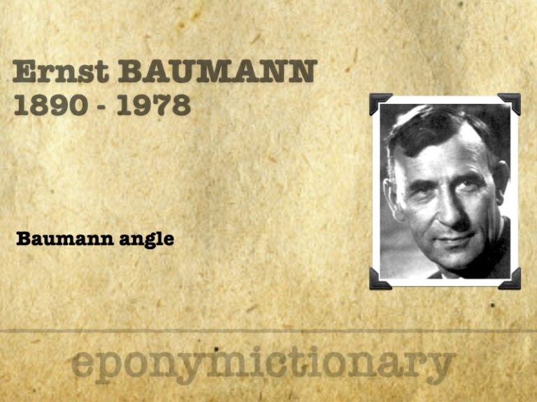 Ernst Baumann (1890-1978) 680